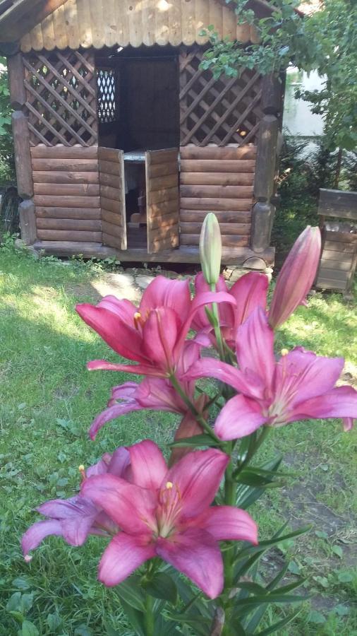 Appartamento Лісова Хатинка Kelechin Esterno foto