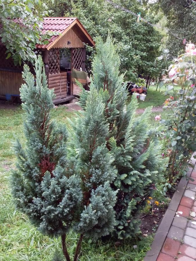 Appartamento Лісова Хатинка Kelechin Esterno foto